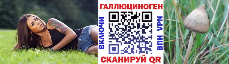 Галлюциногенные грибы Psilocybine cubensis  Сунжа 