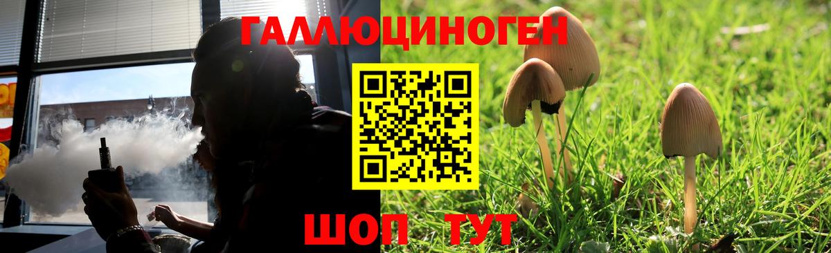 Сунжа  наркотики  Псилоцибиновые грибы прущие грибы  Вход с VPN  Галлюциногенные грибы GOLDEN TEACHER 