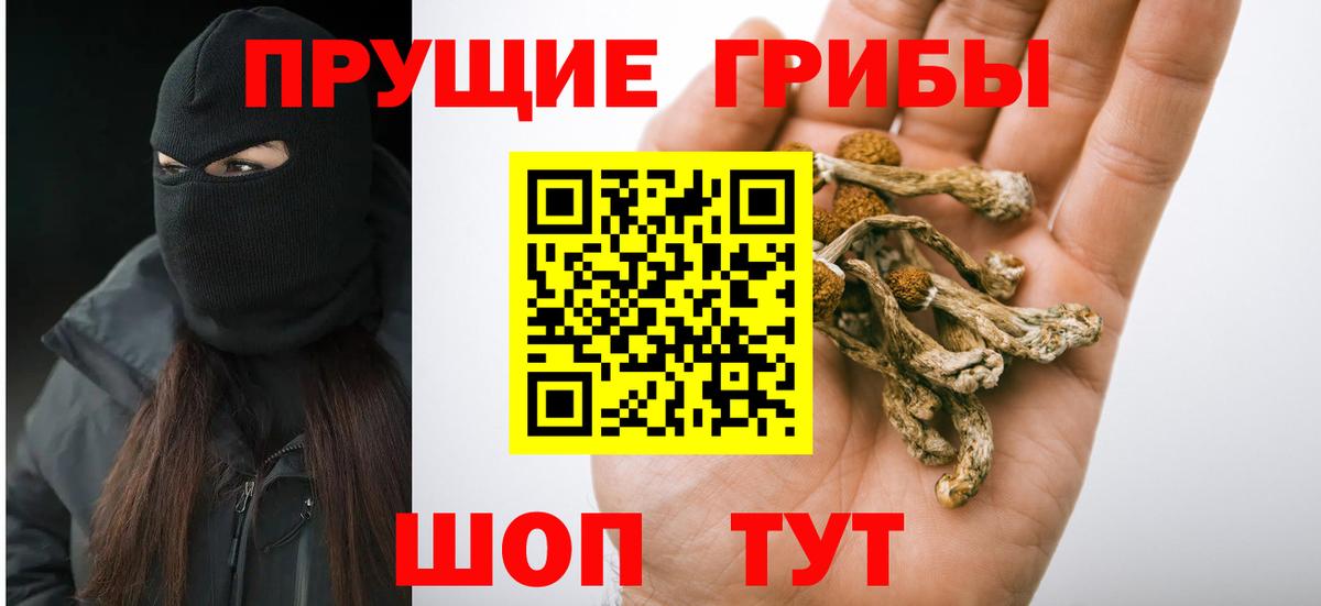 Псилоцибиновые грибы прущие грибы Сунжа