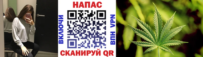 Бошки Шишки OG Kush  купить   Сунжа 